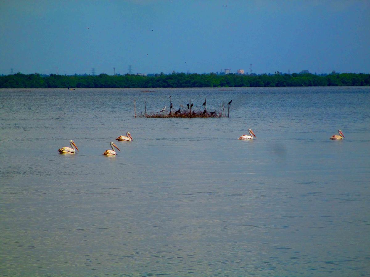 Nico Lagoon Hotel Negombo Eksteriør bilde