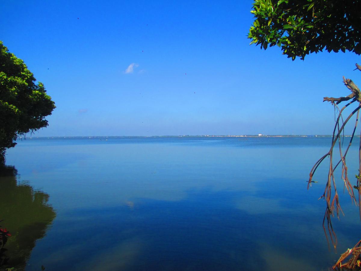 Nico Lagoon Hotel Negombo Eksteriør bilde